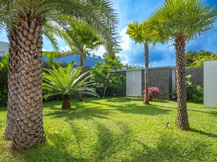 Landscaped tropical garden with mature palm trees